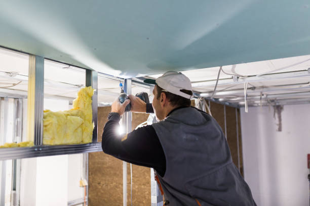 Types of Insulation We Offer in Kapaa, HI