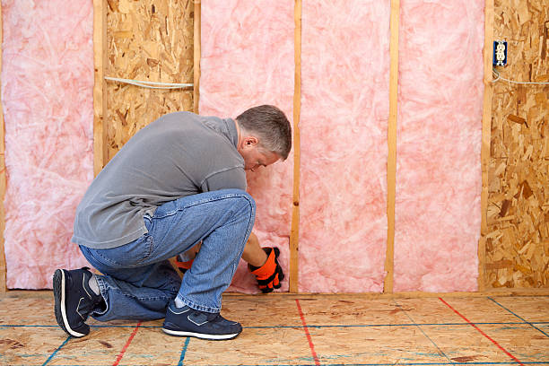 Best Geographic-Specific Insulation Services in Kapaa, HI